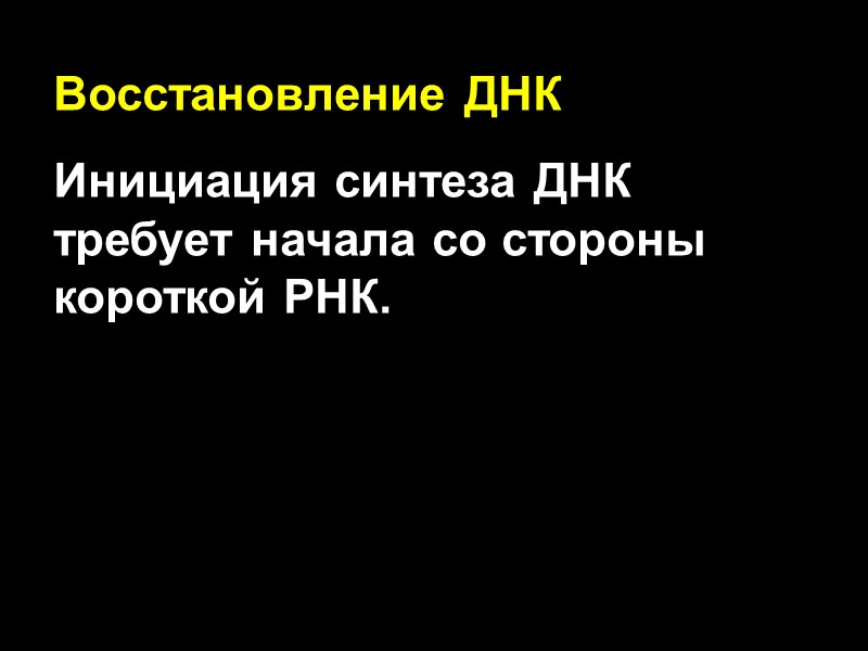 Восстановление ДНК Инициация синтеза ДНК требует начала со стороны короткой РНК.